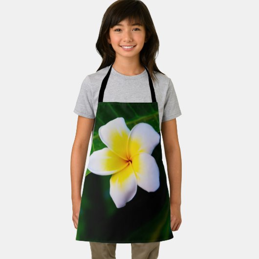 Tablier plumérie (Insitu)