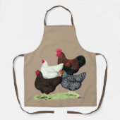 Tablier Plymouth Rock Quartet (Recto)