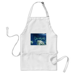 Tablier Poisson tropical