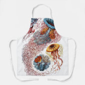 Tablier Poisson vintage par Ernst Haeckel, Discomedusae (Recto)