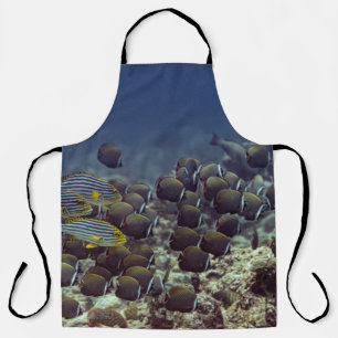 Tablier Poissons à la barrière de corail dans le fond océa
