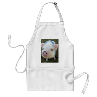 Tablier Porc mignon de ventre de pot