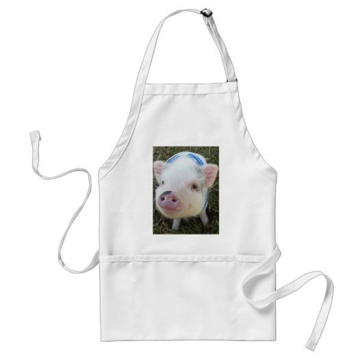 Tablier Porc mignon de ventre de pot (Devant)
