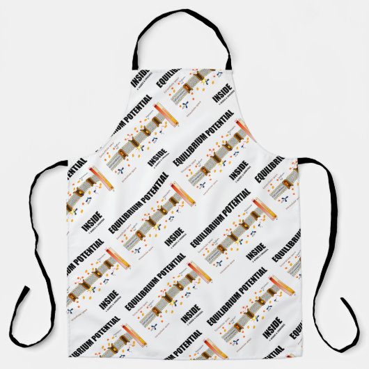 Tablier Potentiel d'équilibre dans le transport actif (Recto)