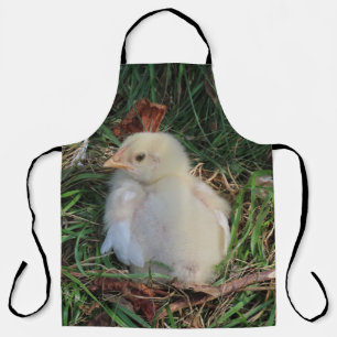 Tablier poulet, poussin, ferme, animal, oiseau, volaille,