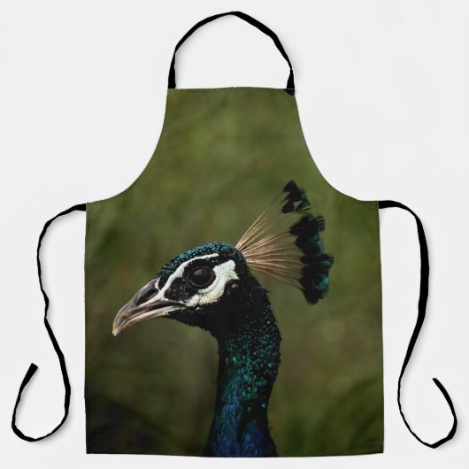 Tablier Profil de Peacock (Recto)