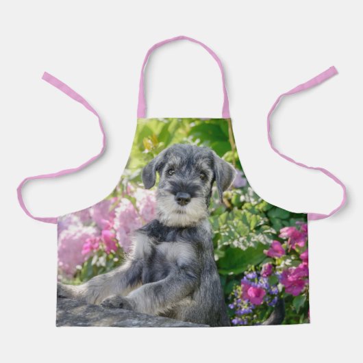 Tablier Puppy de Schnauzer dans un Flowering Garden - (Recto)