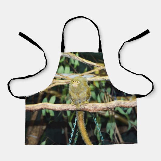 Tablier Pygmy Marmoset Sur Branche, Empreinte Pleine Pour  (Recto)