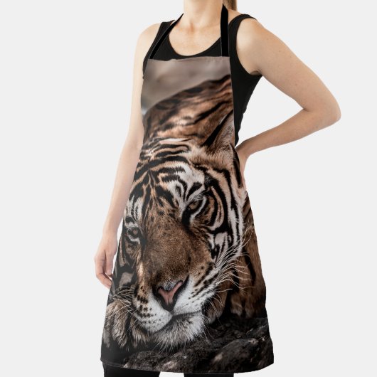 Tablier ranthambore tigre mâle sauvage Image d'art (Insitu)