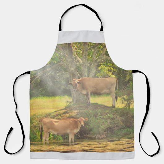 Tablier Refroidissement des vaches (Recto)