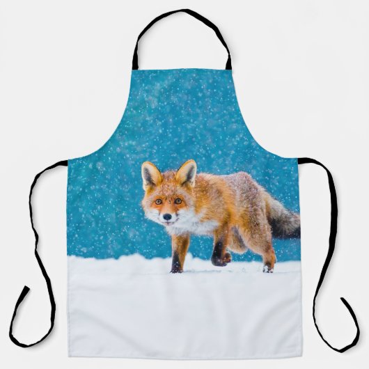 Tablier Renard en hiver. Renard rouge, Vulpes vulpes, reni (Recto)