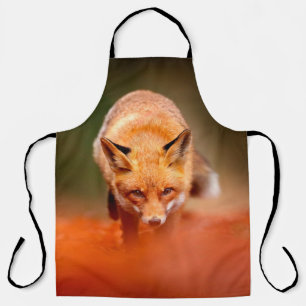 Tablier Renard rouge courant sur les feuilles d'automne or