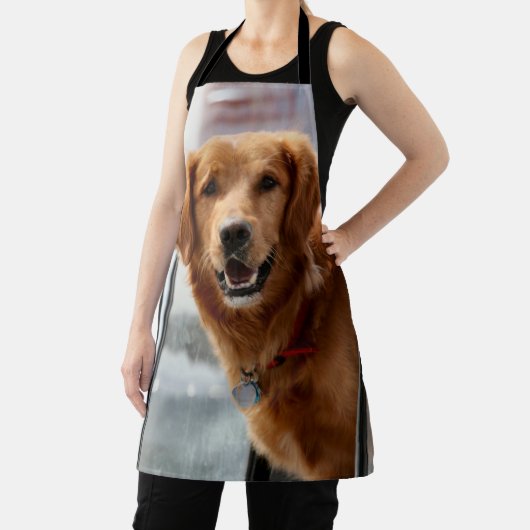 Tablier Salut (Insitu)