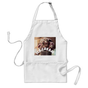 Tablier standard de glace