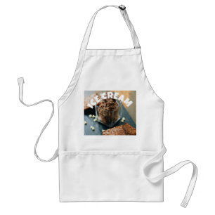 Tablier standard de glace
