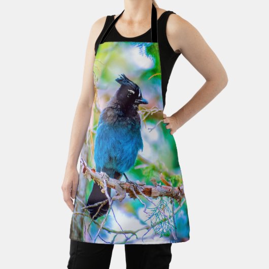 Tablier Steller's Jay - Photographie originale (Insitu)