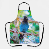 Tablier Steller's Jay - Photographie originale (Recto)