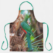 Tablier Superbe perroquet australien Escalade d'un arbre (Recto)