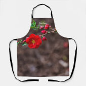 Tablier supérieur (Recto)