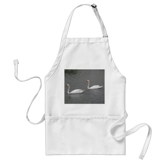 Tablier Swans sur la rivière Apron (Devant)