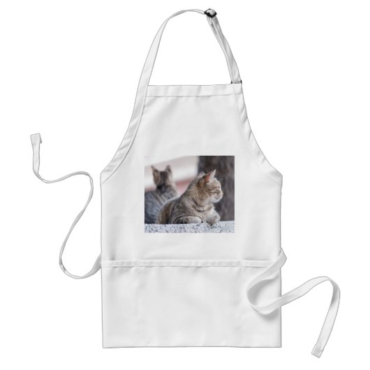 Tablier Tabby cats en repos (Devant)