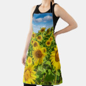 Tablier Terrain de tournesol, ensoleillé l'été. (Insitu)