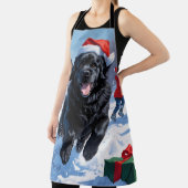 Tablier Terre-Neuve coule en neige avec le Casquette de No (Insitu)