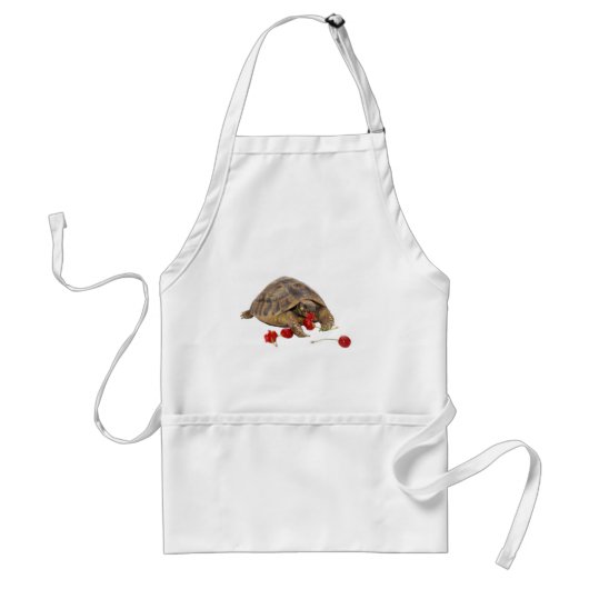Tablier Tortue et fraises de Hermann (Devant)
