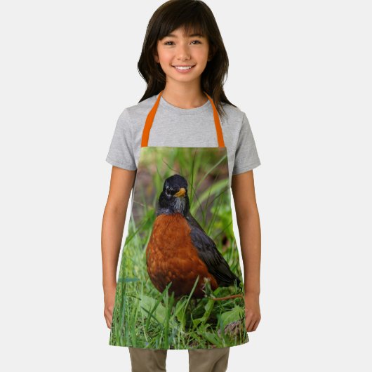 Tablier Un étrange Robin Américain dans l'herbe (Insitu)