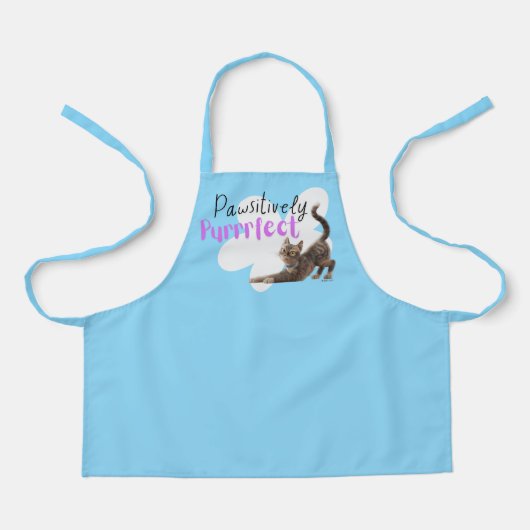 Tablier Utile de manière prospective (Recto)