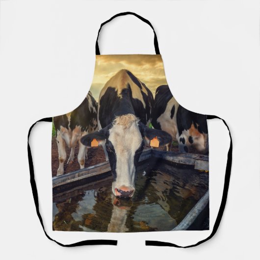 Tablier Vache à l'eau (Recto)