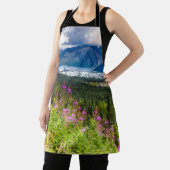 Tablier Vallée de Matanuska, centre-sud de l'Alaska (Insitu)