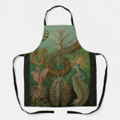 Tablier Vers vintages Annelids Chaetopoda par Ernst Haecke (Recto)