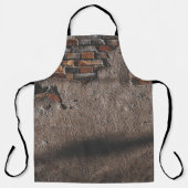 Tablier Wall with broken bricks (Recto)