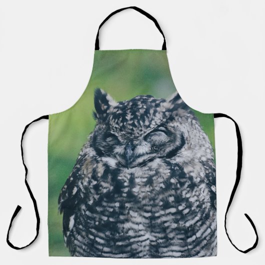 TABLIER WILL OWL DANS LA FORÊT FRANÇAISE (Recto)