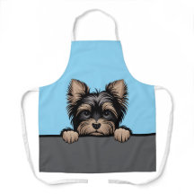 Yorkshire Terrier Mignon Yorkie Chien Amateur