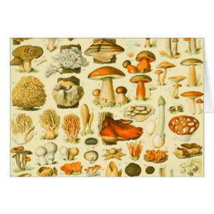 Tabouret de toilette Vintage de champignons Illust