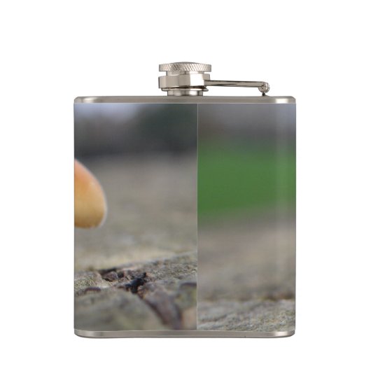 Tabouret minuscule macro Flacon (Dos)