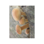 Tabourets sur un Bloc-notes pour tronc d'arbre (Tourné)