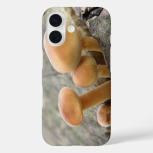 Tabourets sur un coque iphone de tronc d'arbre