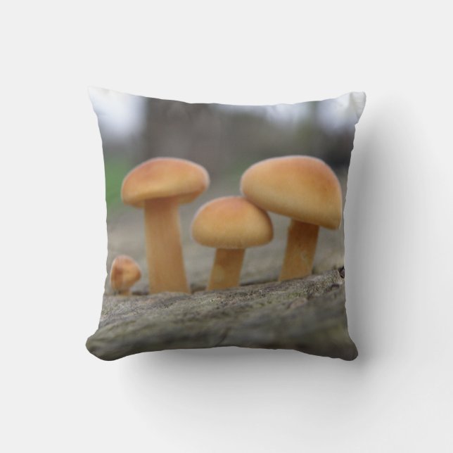 Tabourets Toadstools Coussin (Recto)