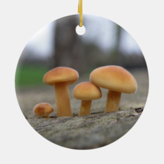 Tabourets Toadstools Macro Ornement (Dos)