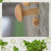 Tabourets Toadstools Macro Serviette de cuisine (Plié)