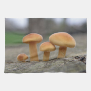 Tabourets Toadstools Macro Serviette de cuisine