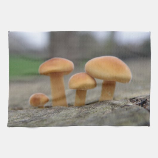 Tabourets Toadstools Macro Serviette de cuisine (Horizontal)