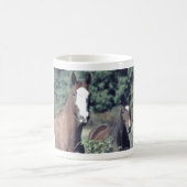 Tache et tasse d'Evan (Centre)