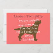 Taco Fun Labradors Kaart (Achterkant)