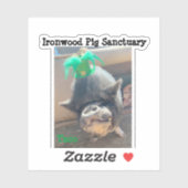 Taco St. Patrick's Stickers (Vel)