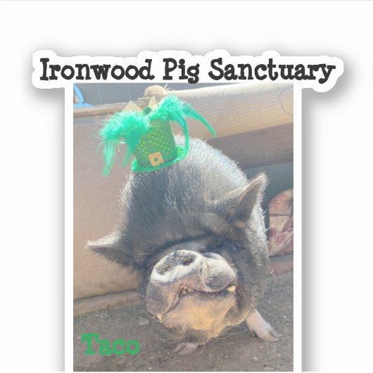 Taco St. Patrick's Stickers (Voorkant)