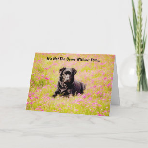 Tad Dog Sweet Miss Carte de Vous Manquant